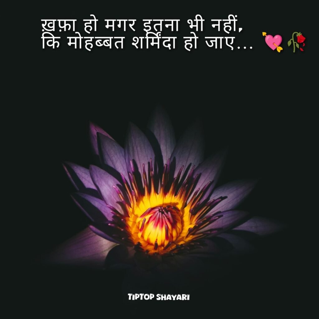 sorry khafa shayari for gf